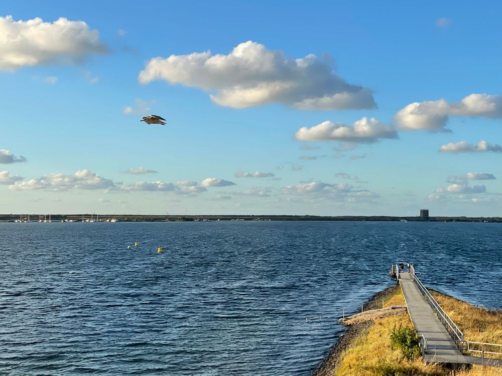 Scharendijke Haven