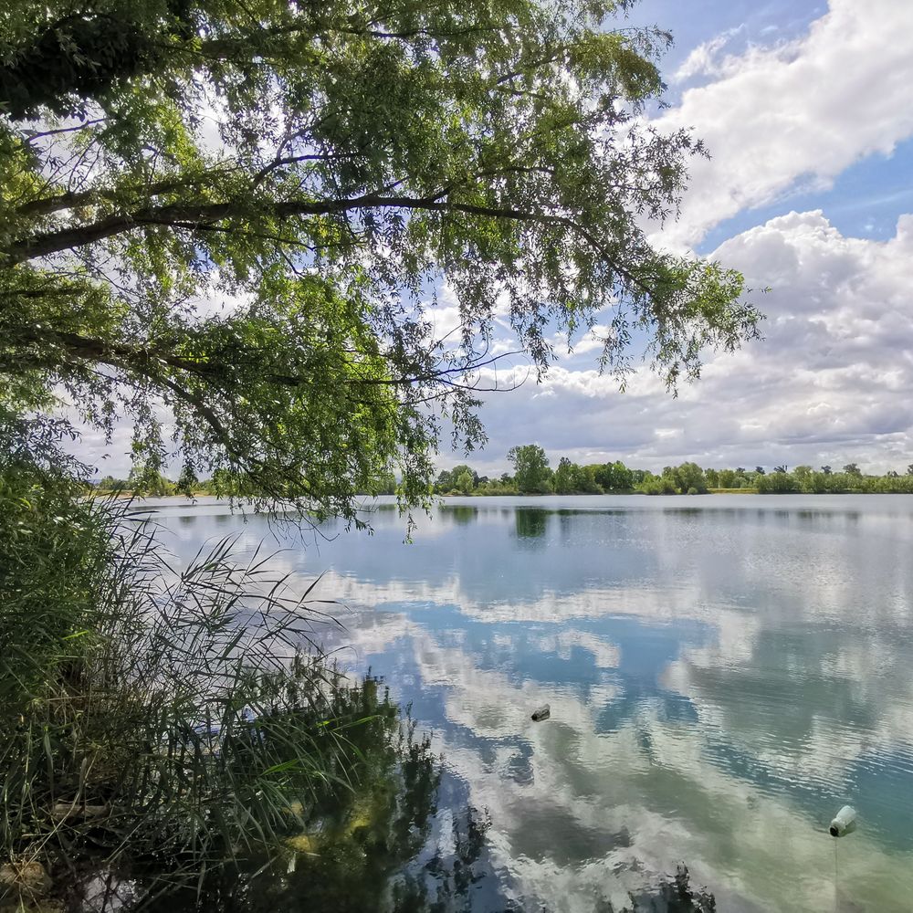 Wechselsee Biebesheim