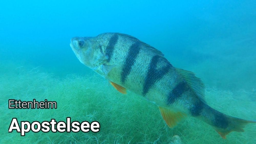 Apostelsee