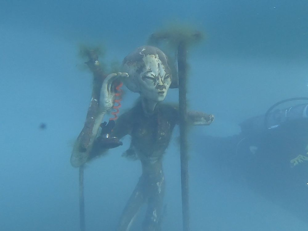 User uploaded