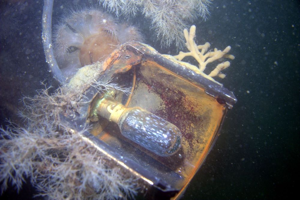 Wrack "La Belle"
