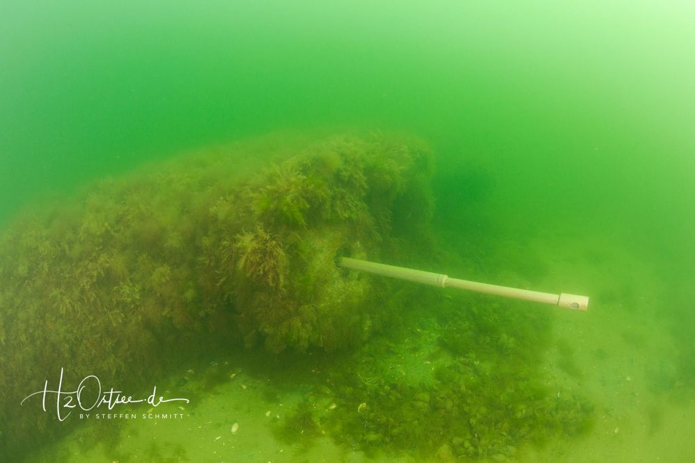 U-Boot-Wrack "Seehund"