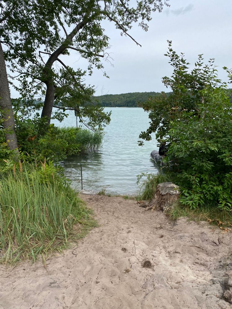 Dornbusch
