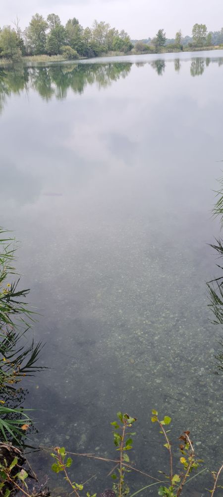 Wachholderrain - Einstieg