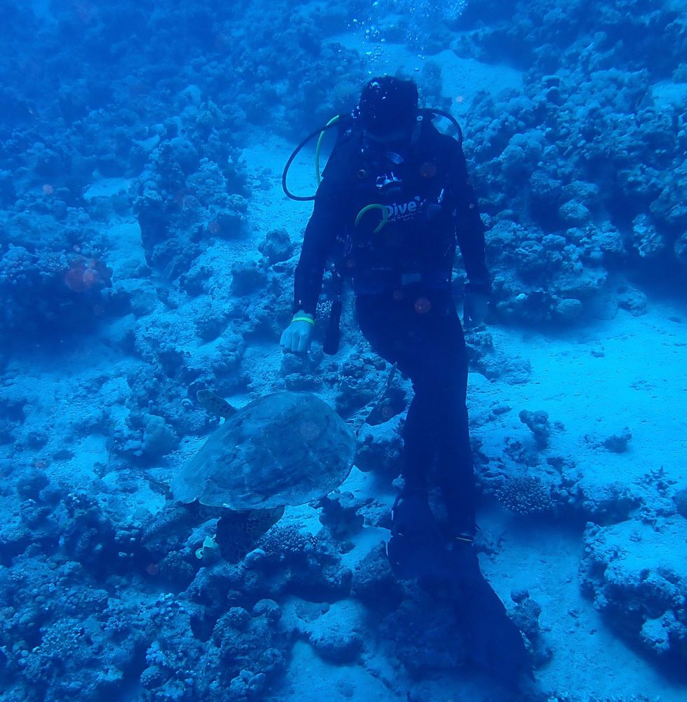 Abu Hashish Drift